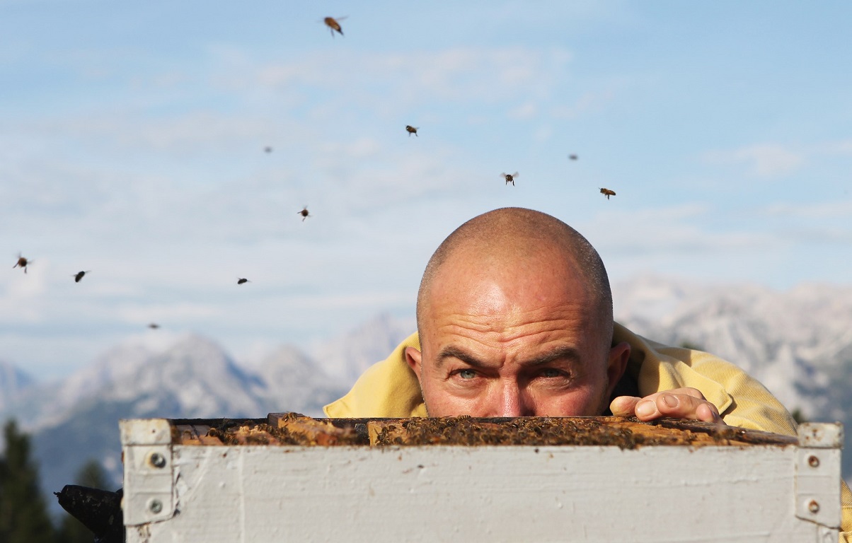 Addio, poeta del miele