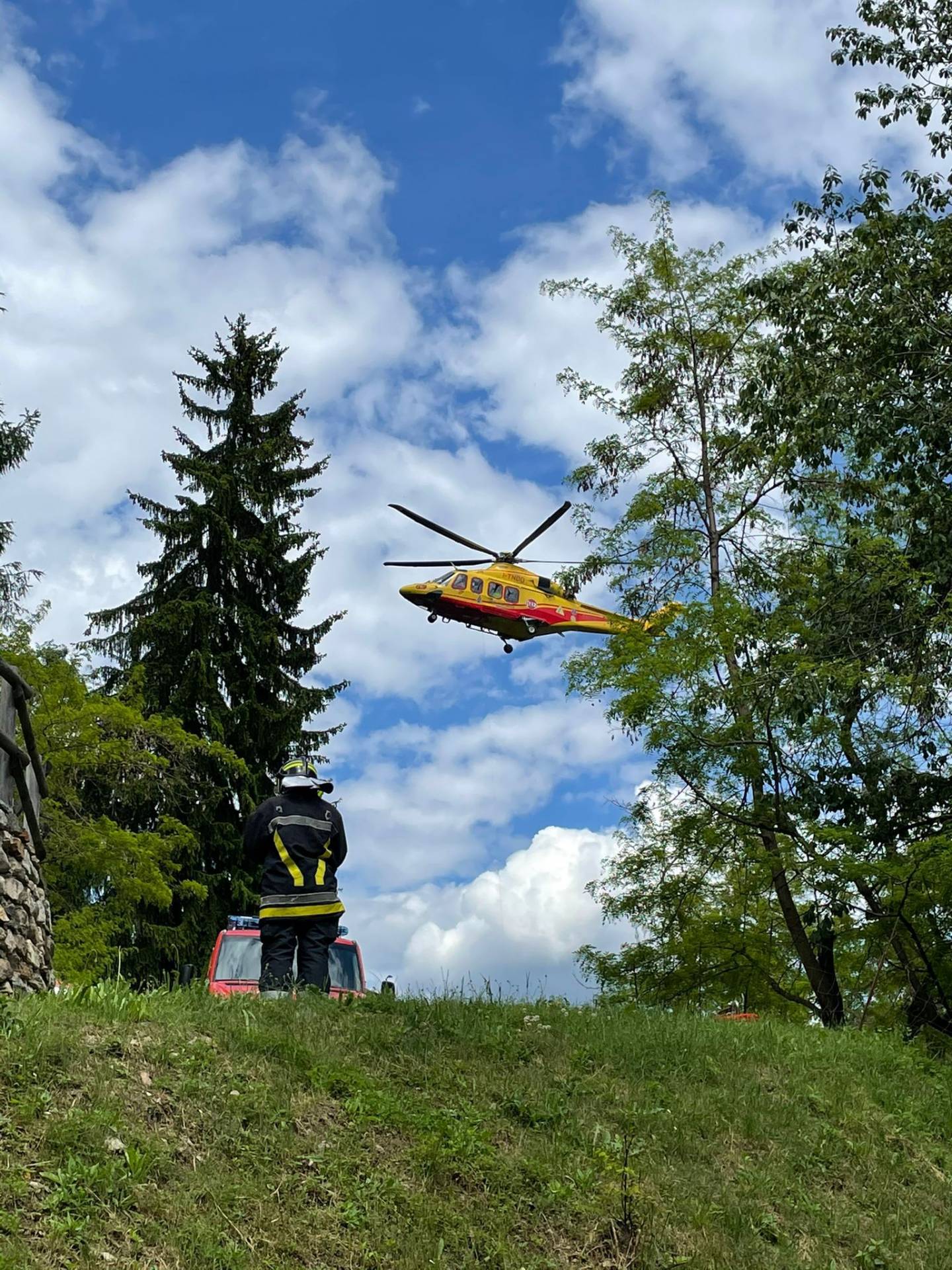 Boscaiolo rimane schiacciato da una pianta