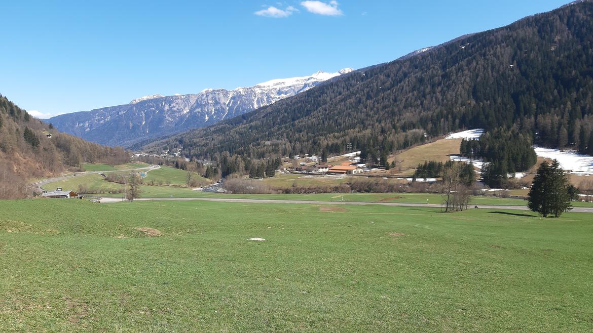 Allevatori, per gestire al meglio i prati ora c'&egrave; il bollettino FEM