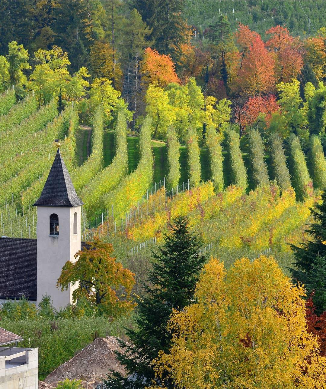 Un percorso di approfondimento sul marchio qualit&agrave;  Trentino