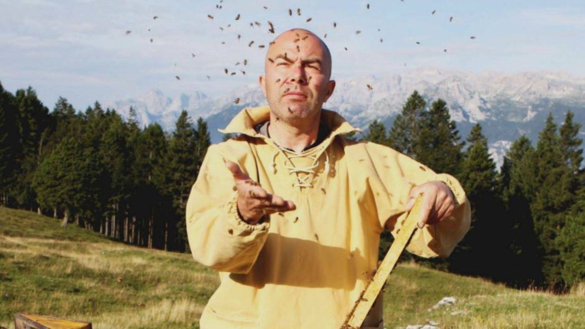 La visione di Andrea Paternoster &egrave; spezzata