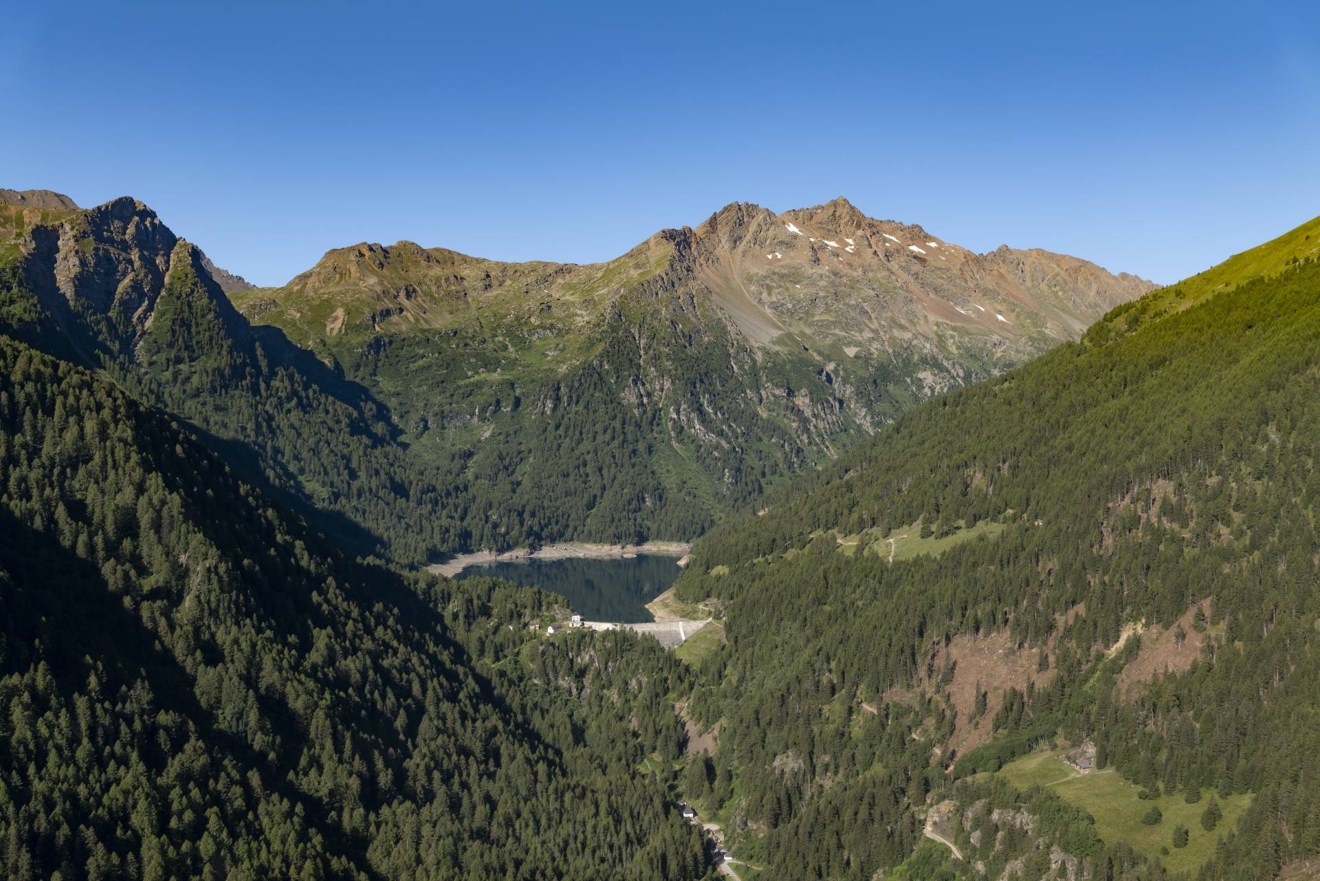 Un piano di interventi da 15 milioni di euro per le foreste