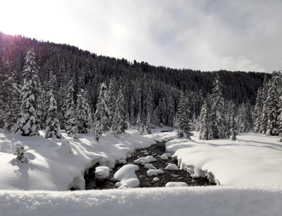 Un gennaio piovoso e freddo