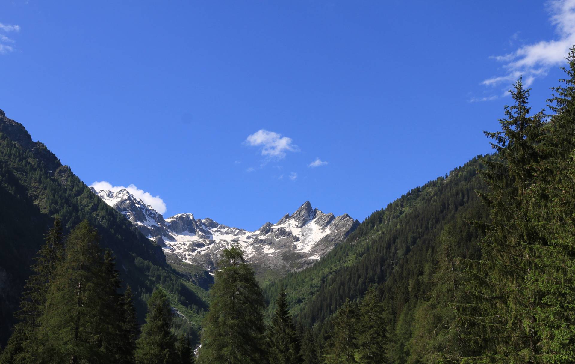 I giovani della Val di Sole si mettono in gioco