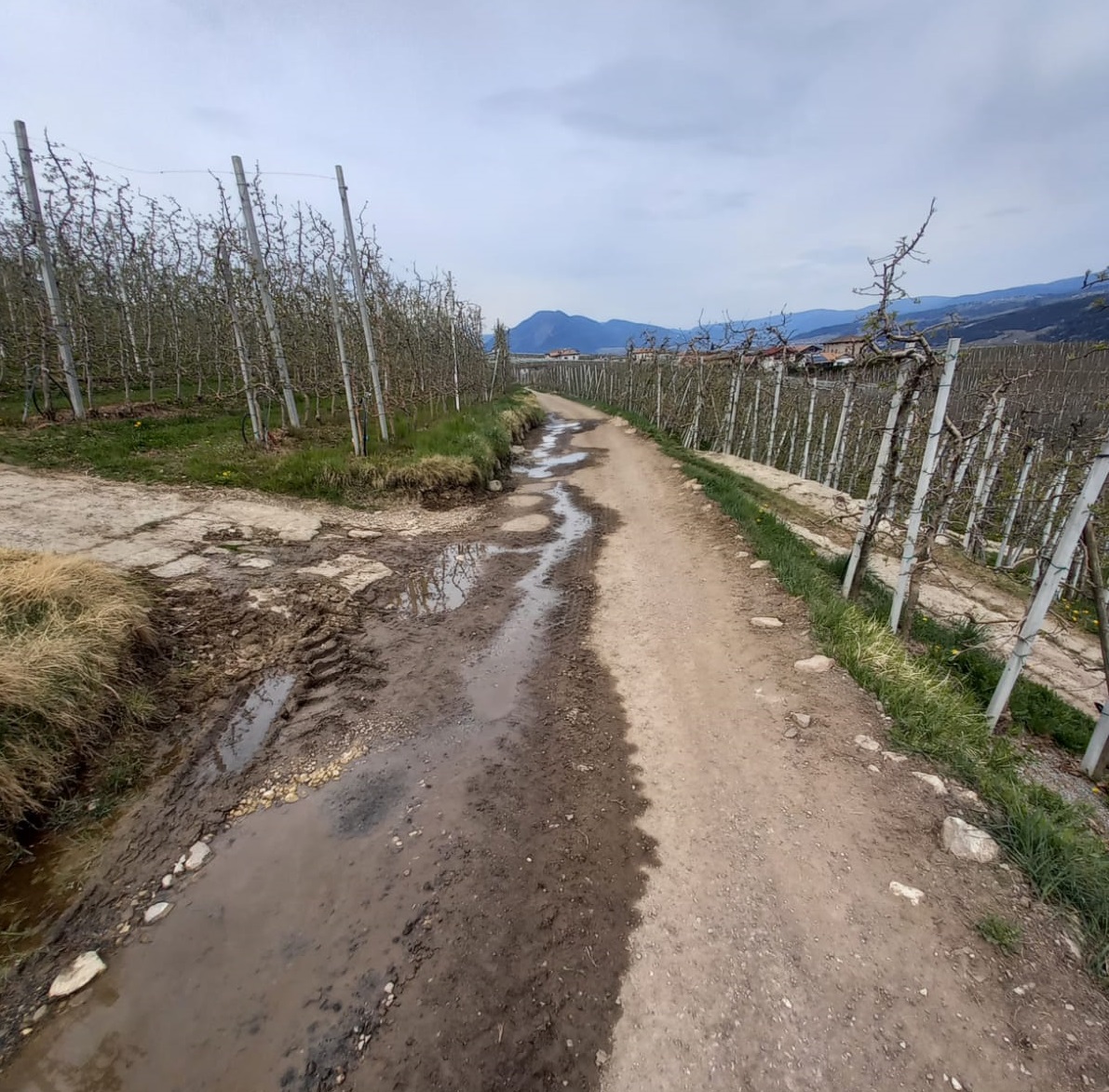 Strade in consiglio a Ville d'Anaunia