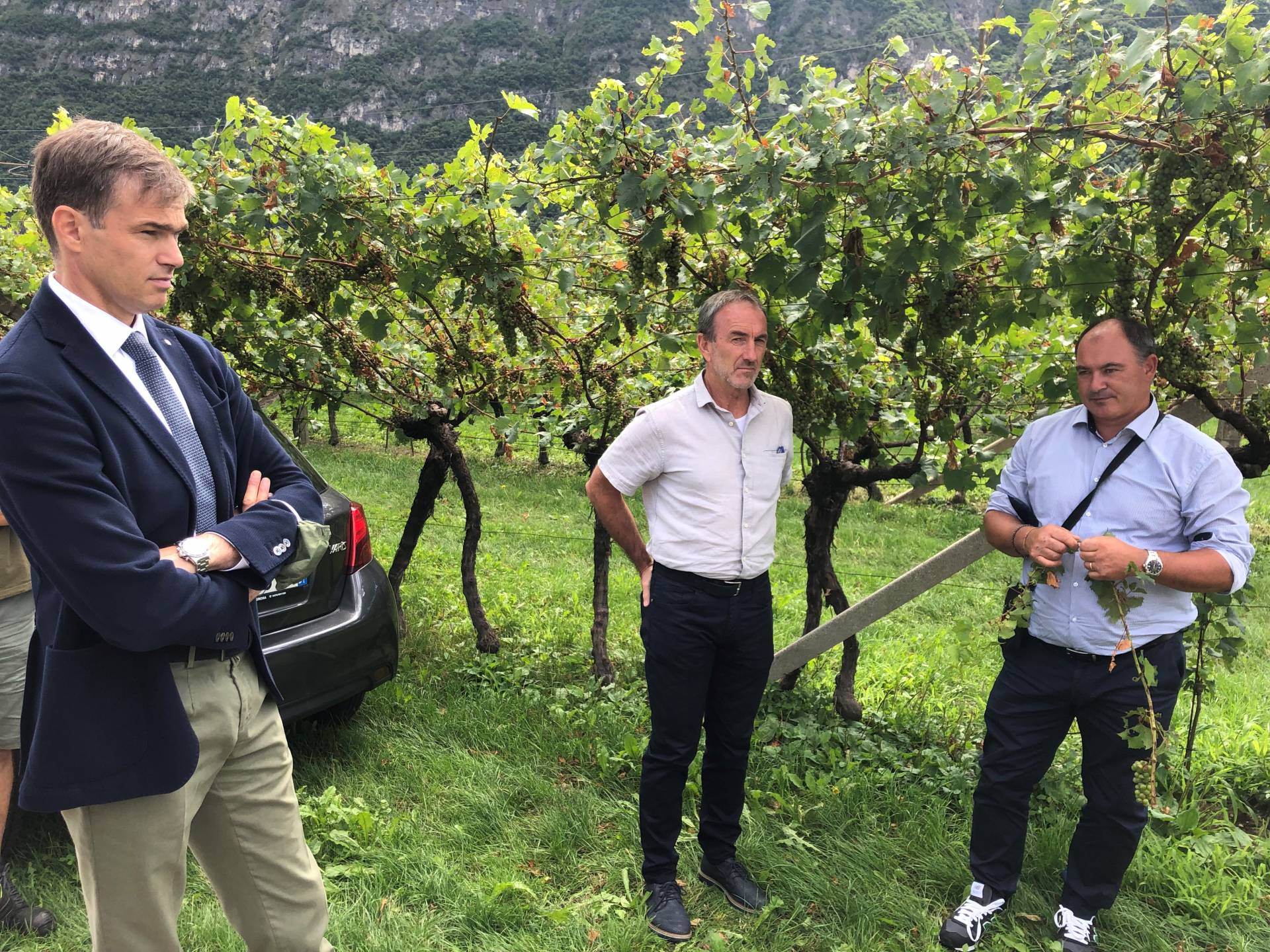 Grandinate: ITAS stima 15 milioni di danni