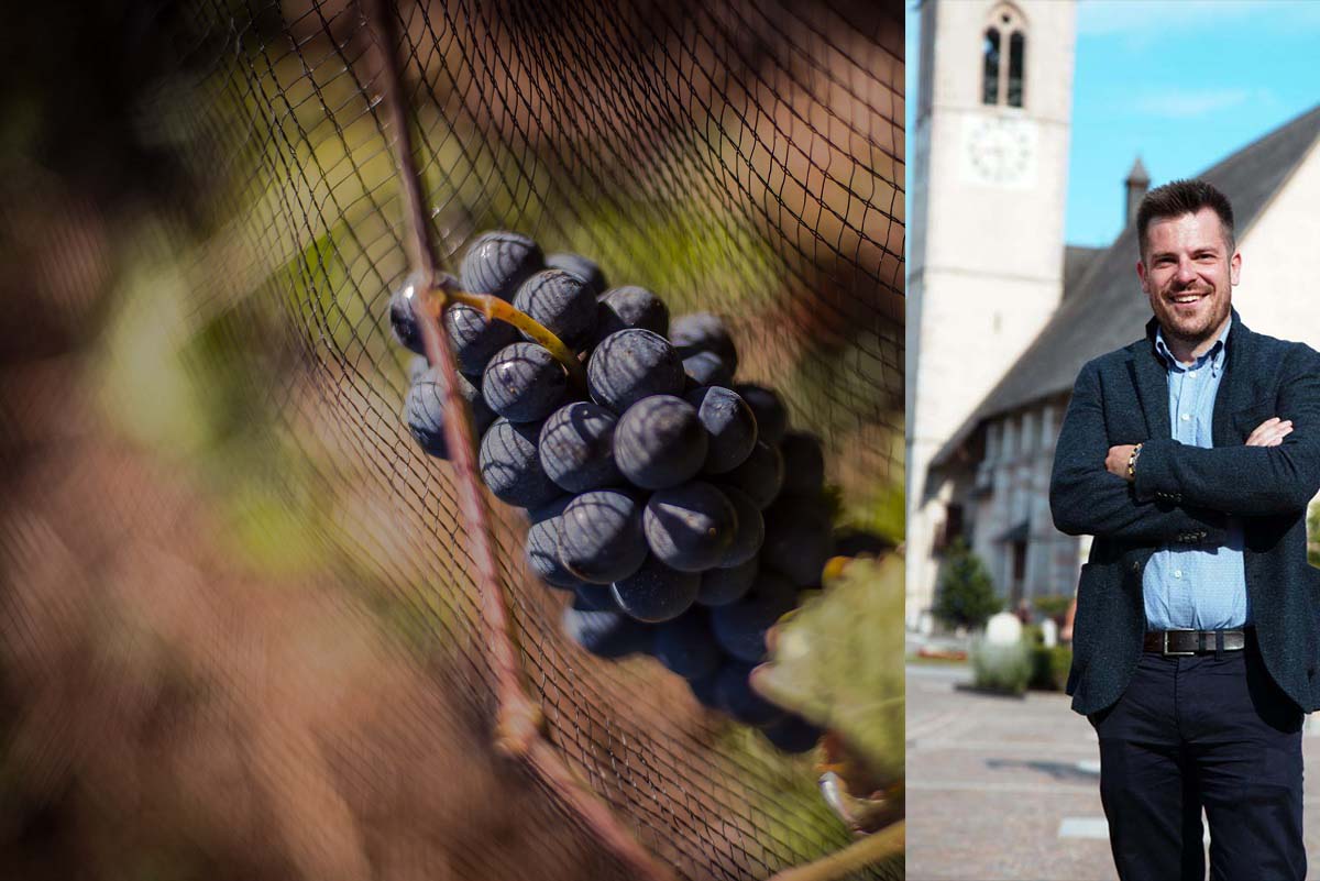 Arriva il vino della Val di Non