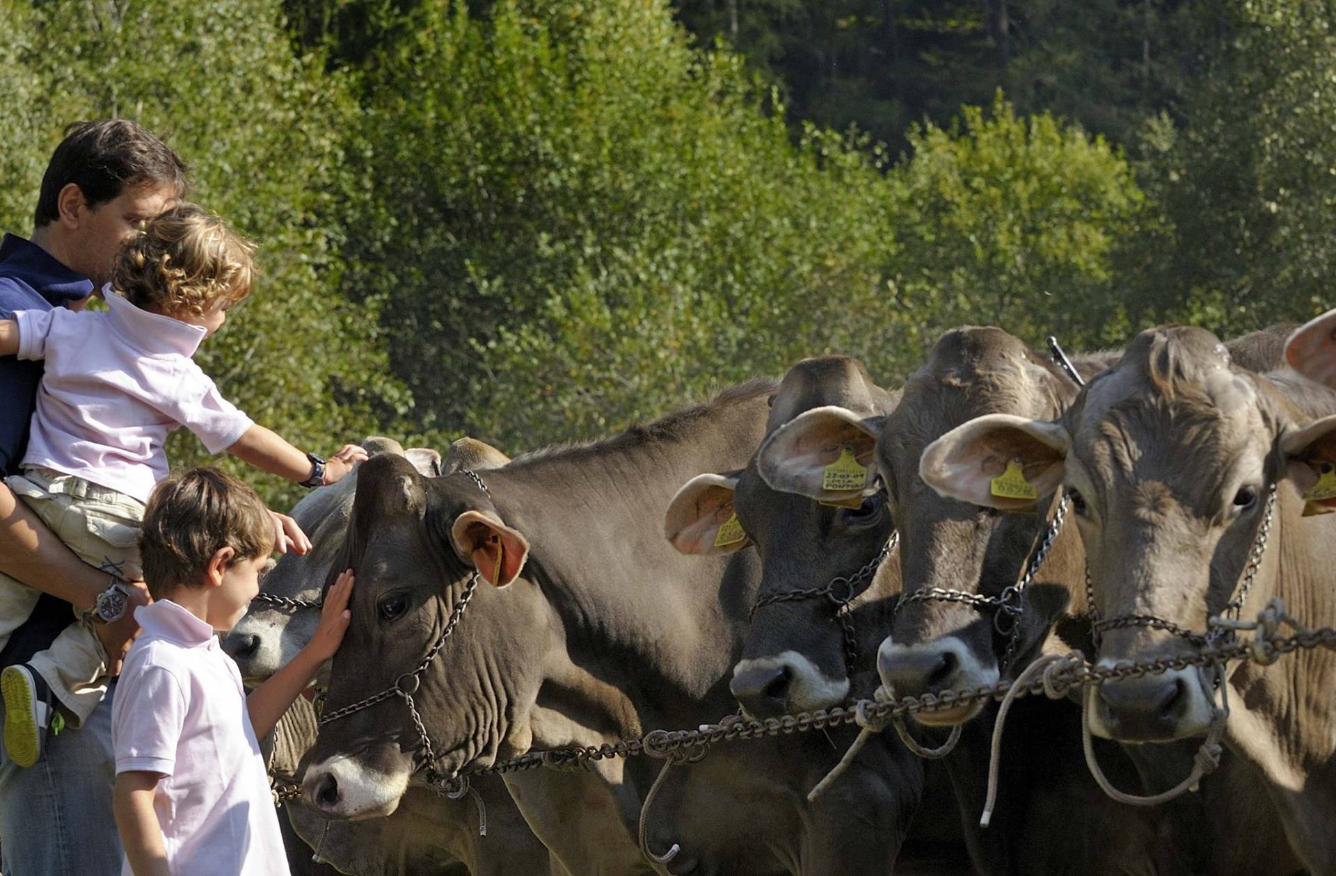 Agriturismo trentino, situazione di non ritorno