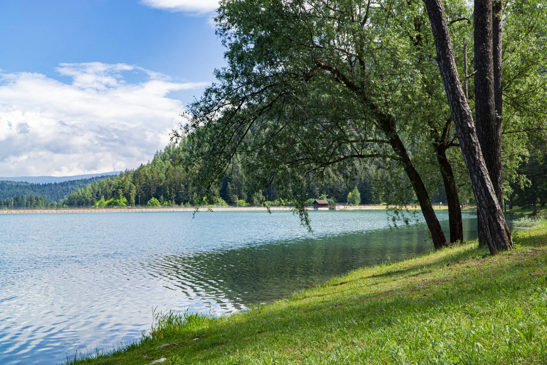 Mistero e rinascita della natura: primo premio letterario di racconti inediti a Predaia