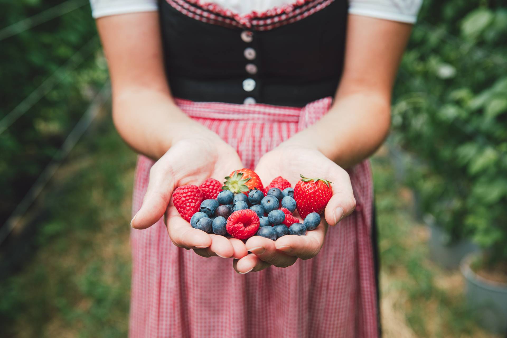 Coldiretti: nuove restrizioni a Pasqua sono un danno per gli agriturismi
