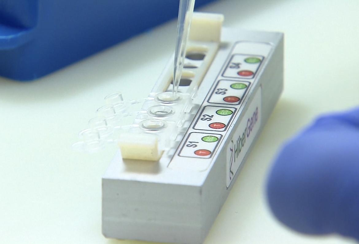 Covid-19, oggi 329 nuovi positivi e 53 classi in quarantena