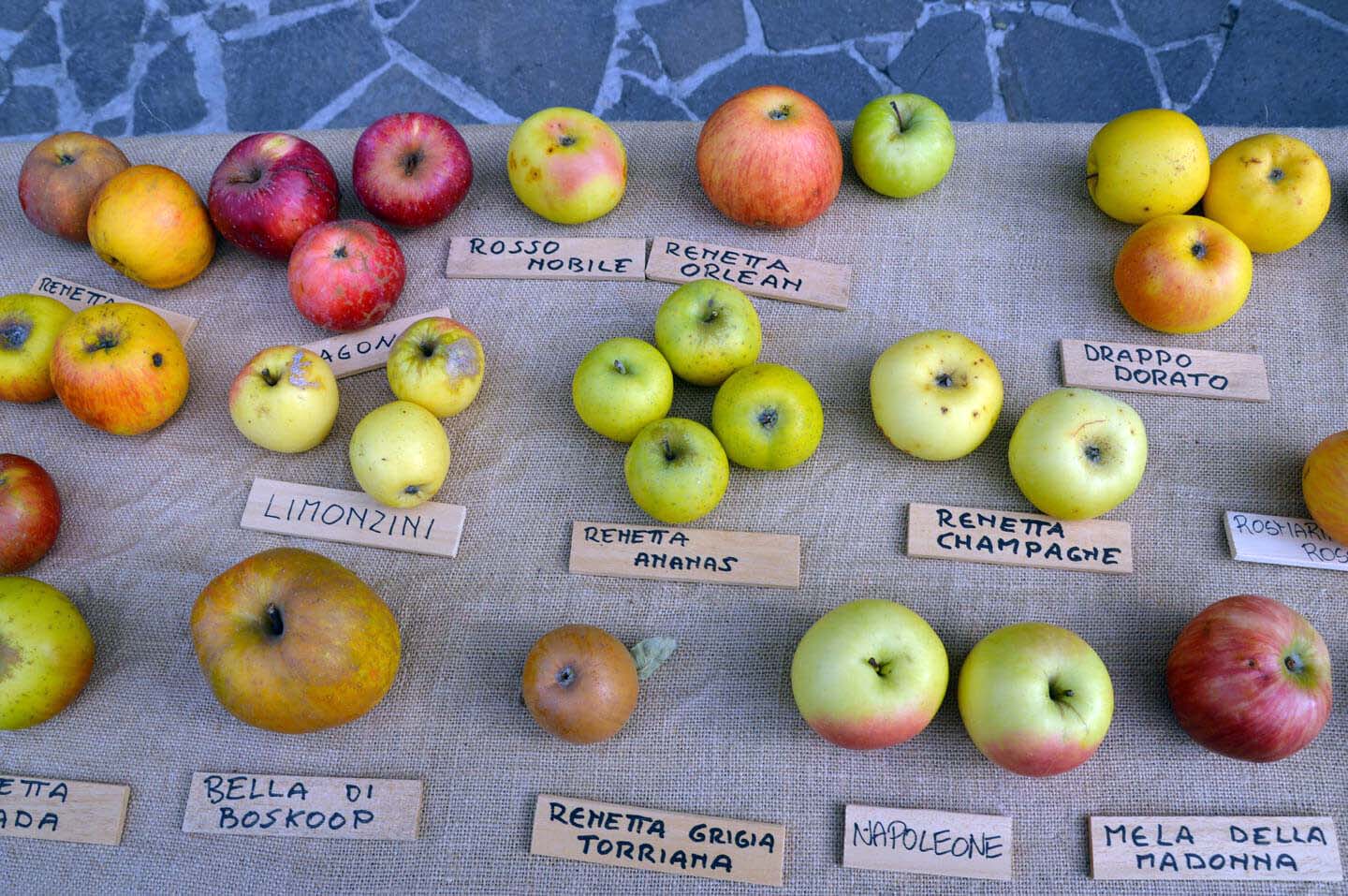 Ad Arzberg mele antiche in mostra