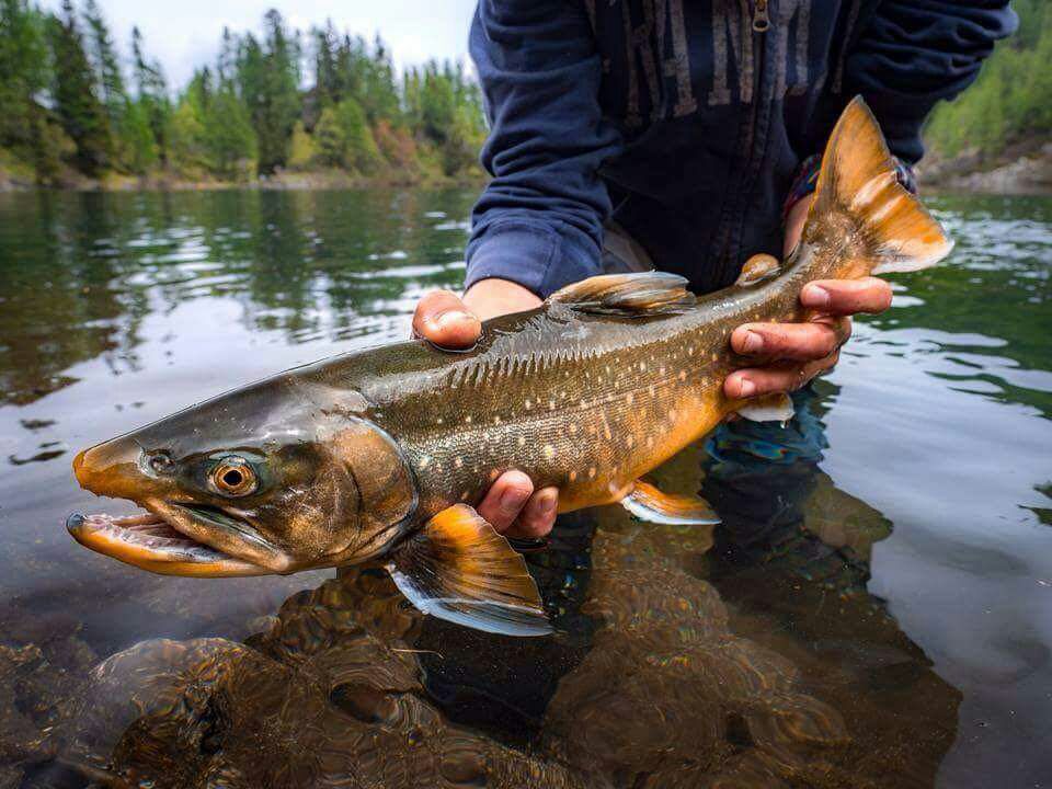 A rischio la stagione della pesca sportiva
