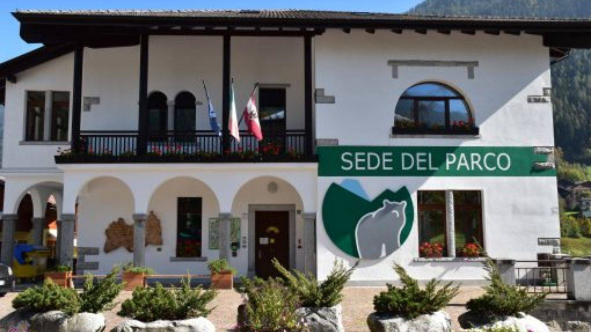 Una nuova cartografia geomorfologica del Parco Naturale Adamello Brenta 