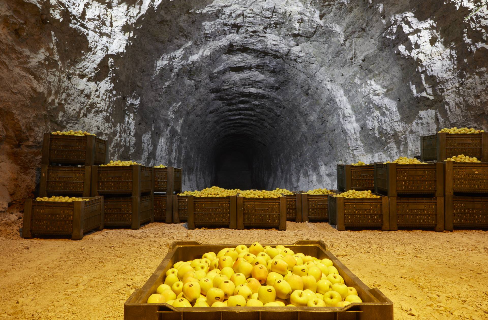 Melinda protagonista alla Green Week di Parma