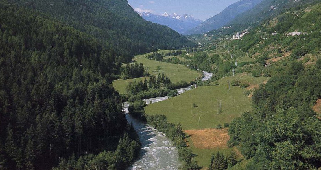 #NoceLibero, raccolte oltre 1.000 firme in 48 ore