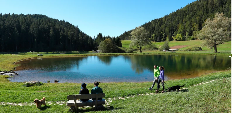 Eco, un giorno sospeso ai laghetti di Ruffr&egrave;
