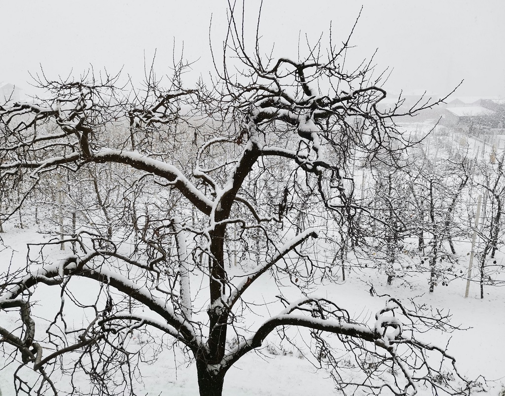 Un novembre pi&ugrave; caldo e pi&ugrave; piovoso della norma