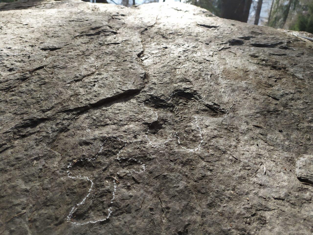 Un nuovo masso inciso a Cusiano