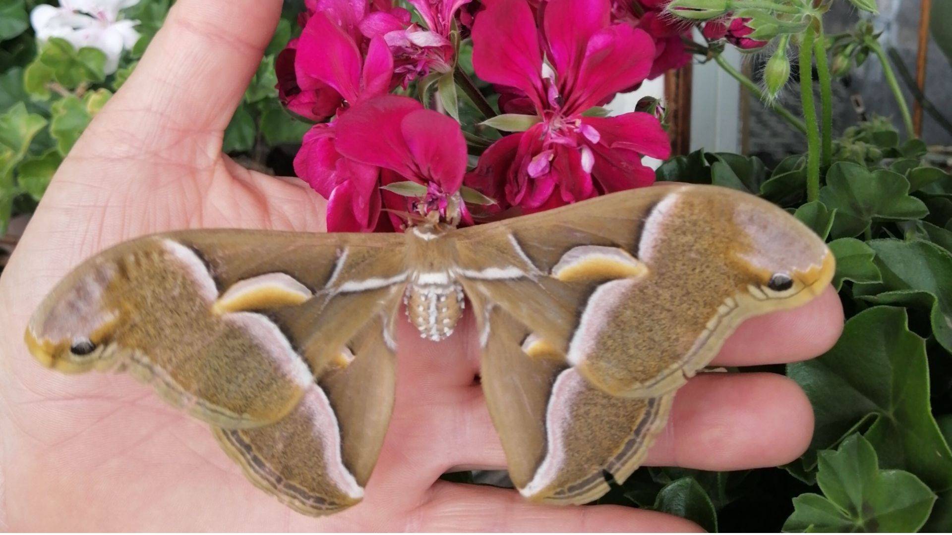 A Tuenno una visita speciale