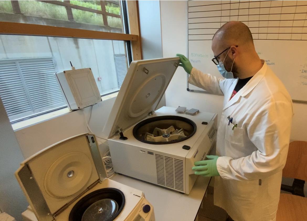 In Trentino 7 deceduti, 254 nuovi casi