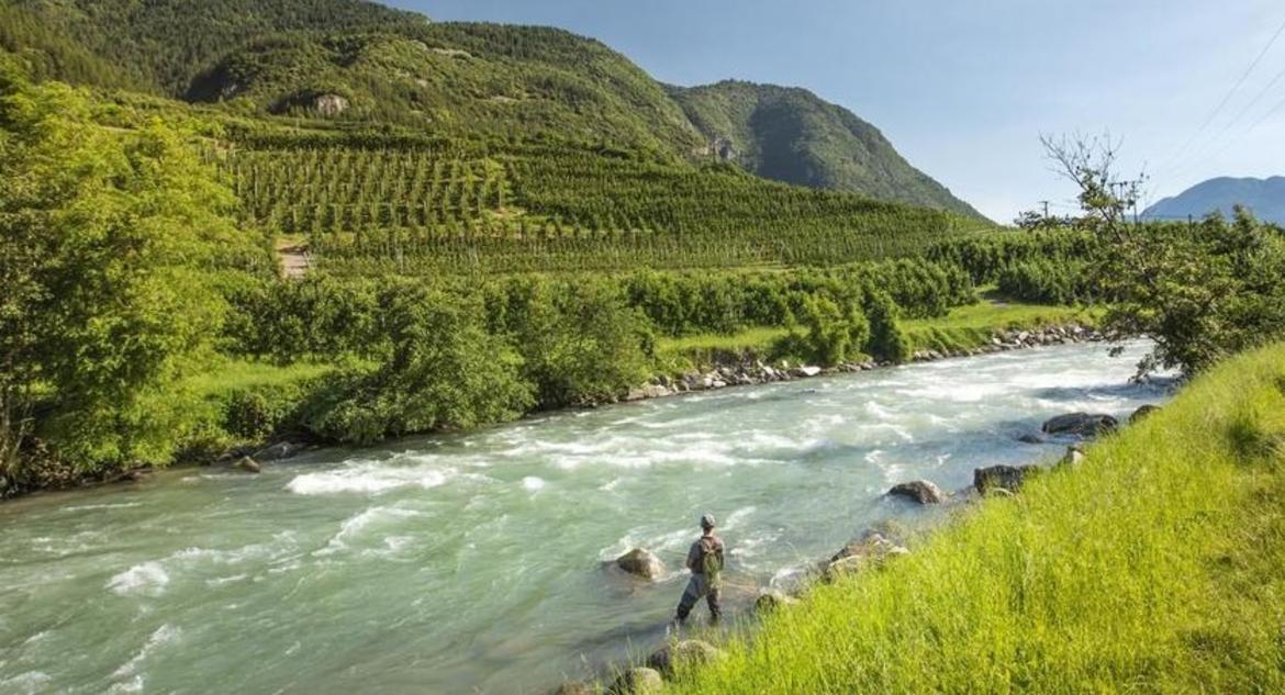 Tubone: un fiume di reazioni