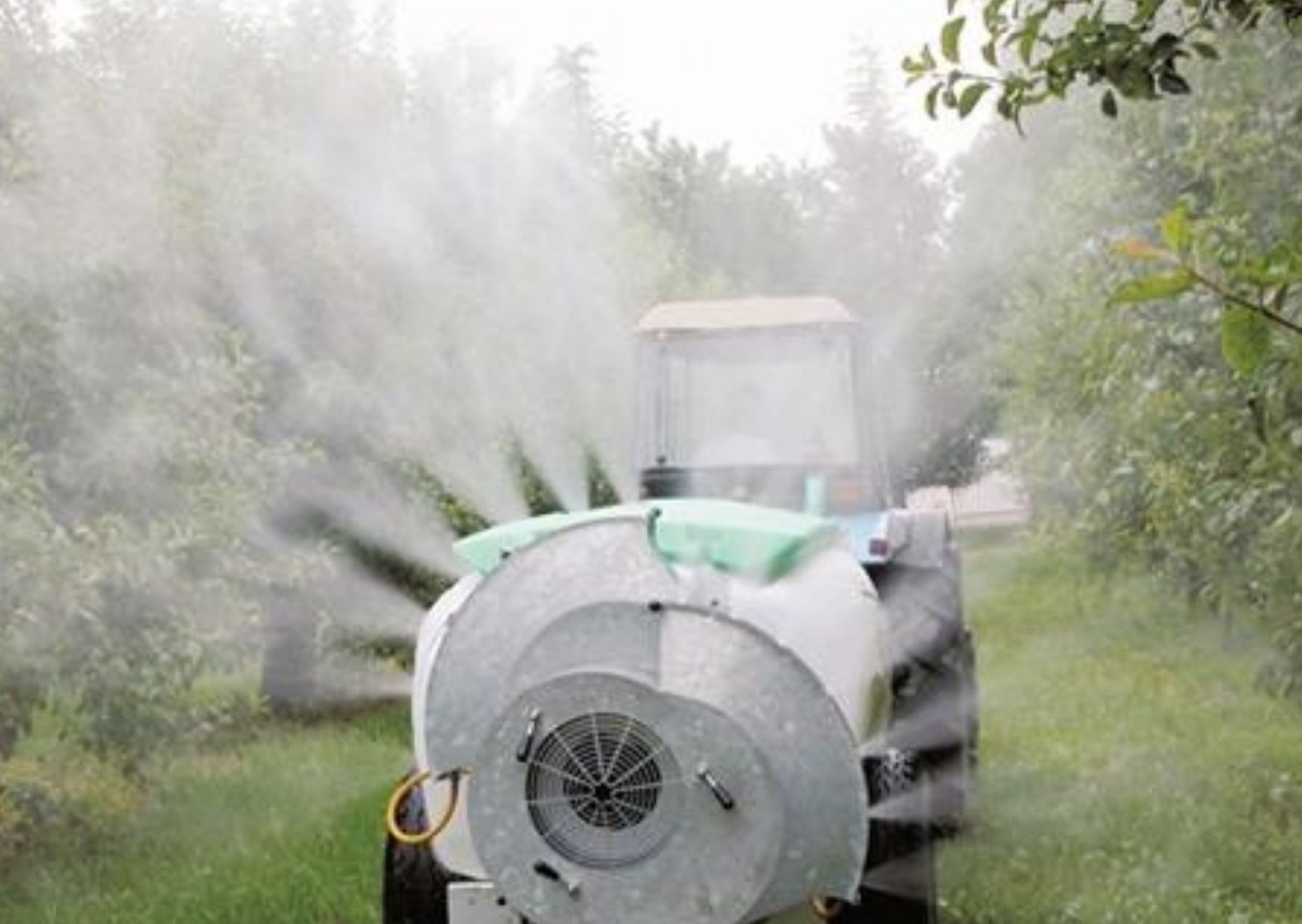 Fitosanitari e uso sostenibile in agricoltura: luned&igrave; la Conferenza d'informazione