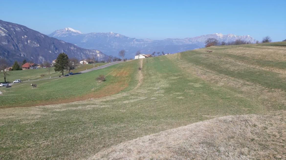 Per gli allevatori &egrave; tornato il bollettino dei prati