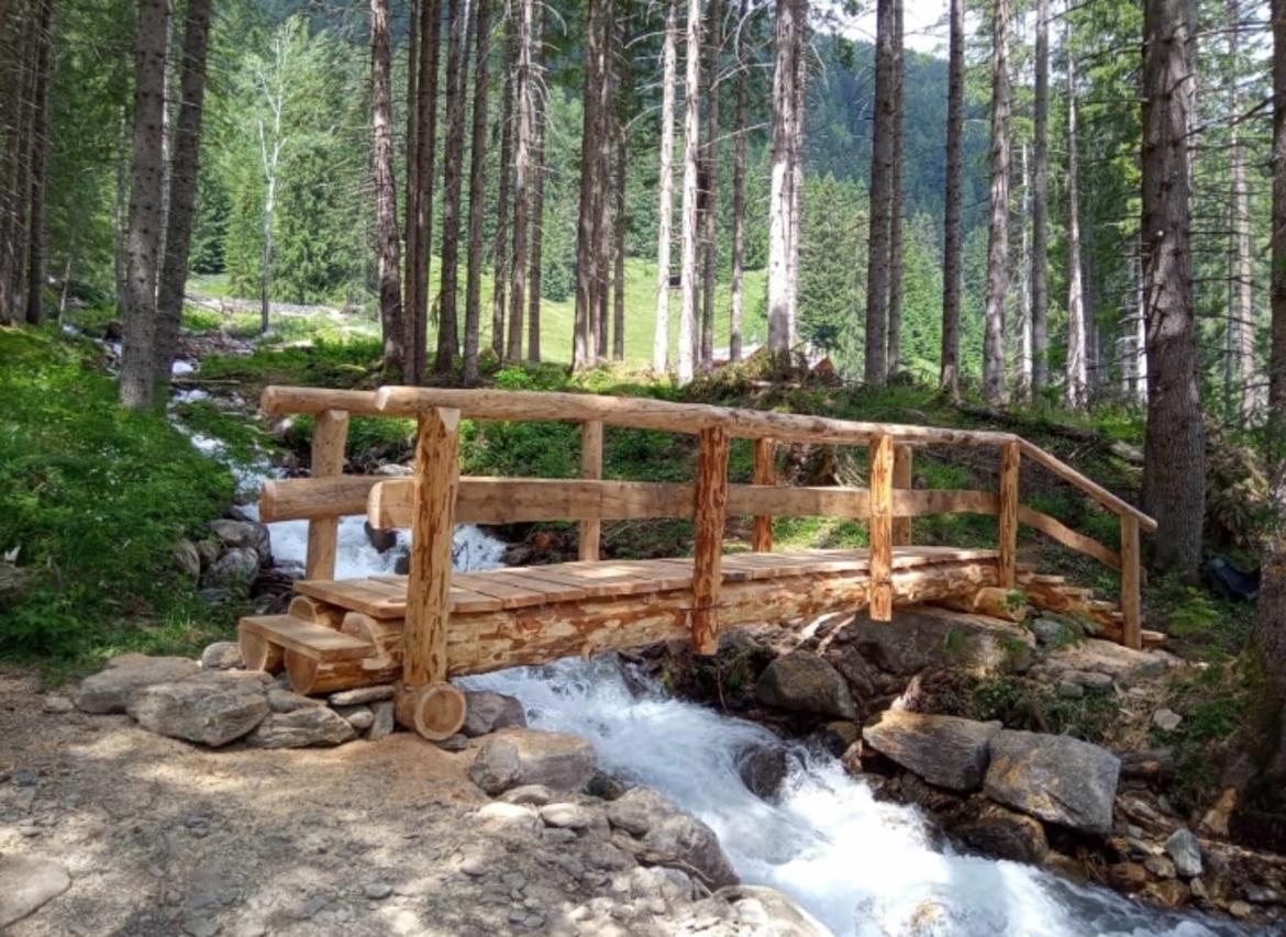 Parco dello Stelvio sempre pi&ugrave; green
