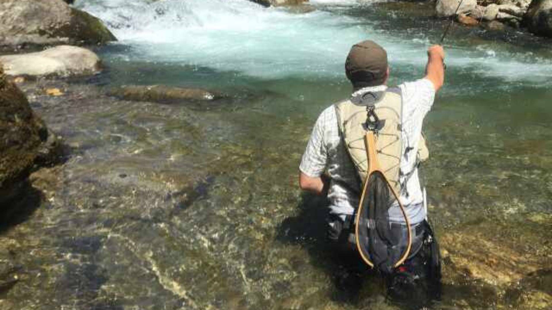 Uno studio del rischio per bypassare il divieto di immissione di specie ittiche non autoctone