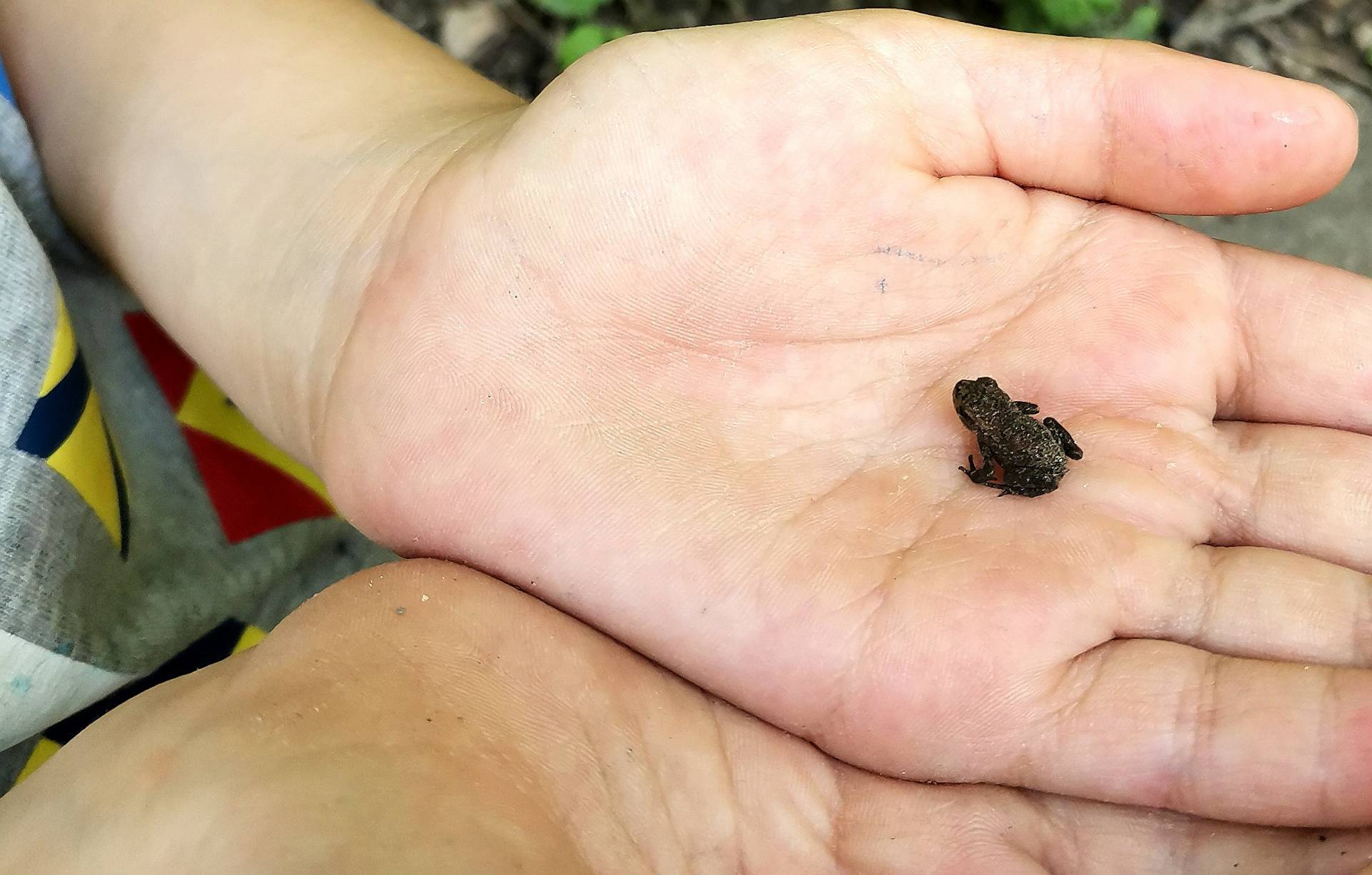 Eser cròt o eser en crÃ³t?