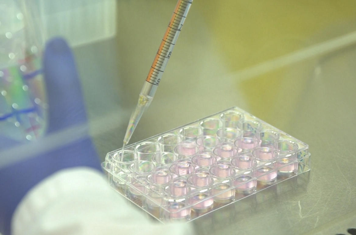 Covid, 434 classi in quarantena