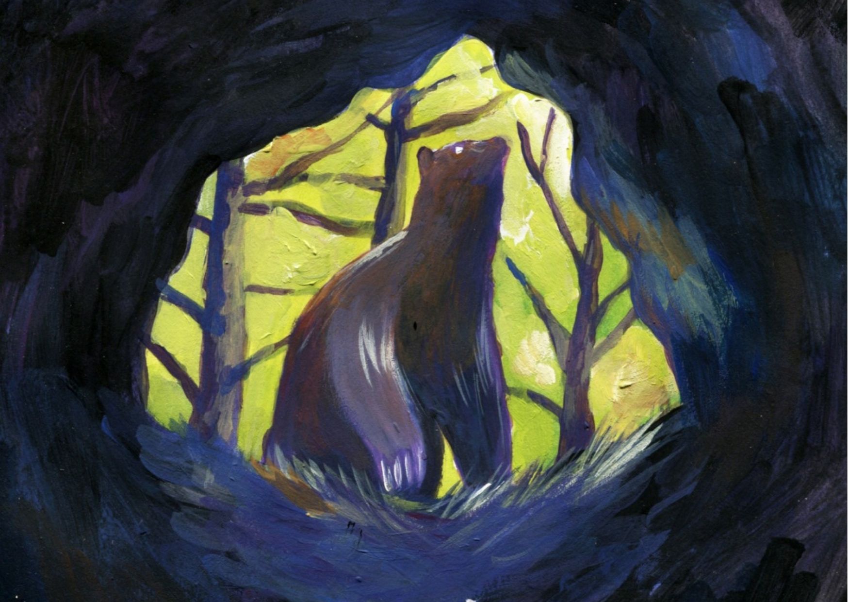 Al Trento Film Festival il documentario sull"orso