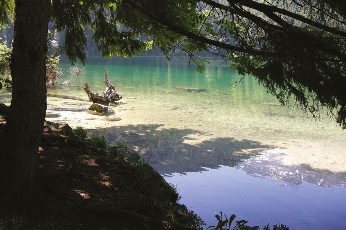 Lago di Tovel, trovati i finanziamenti per la messa in sicurezza della strada