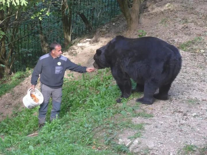 Luned&igrave; l'inaugurazione dello spazio a ricordo di Fausto Iob