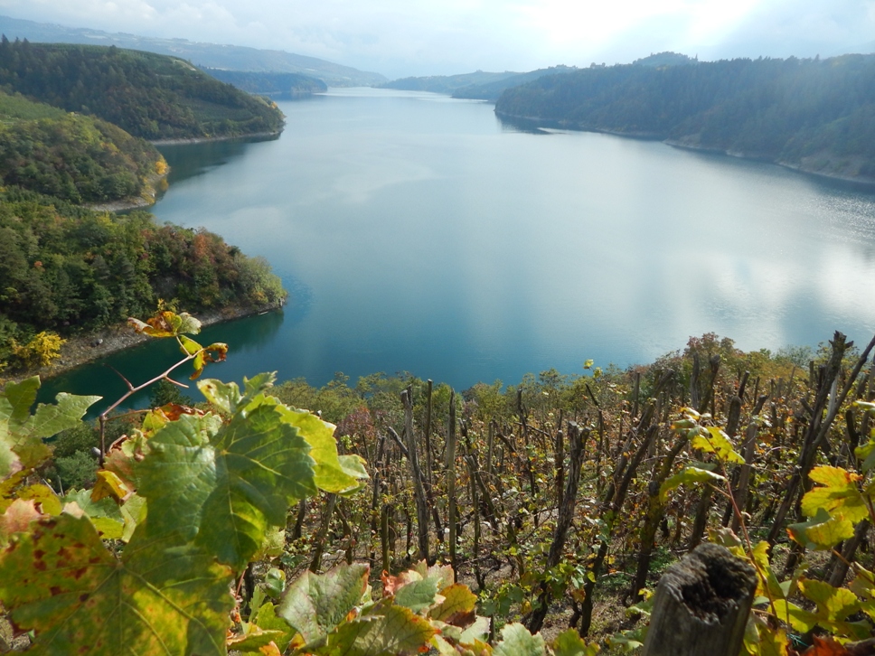 Viticoltura eroica in Val di Non