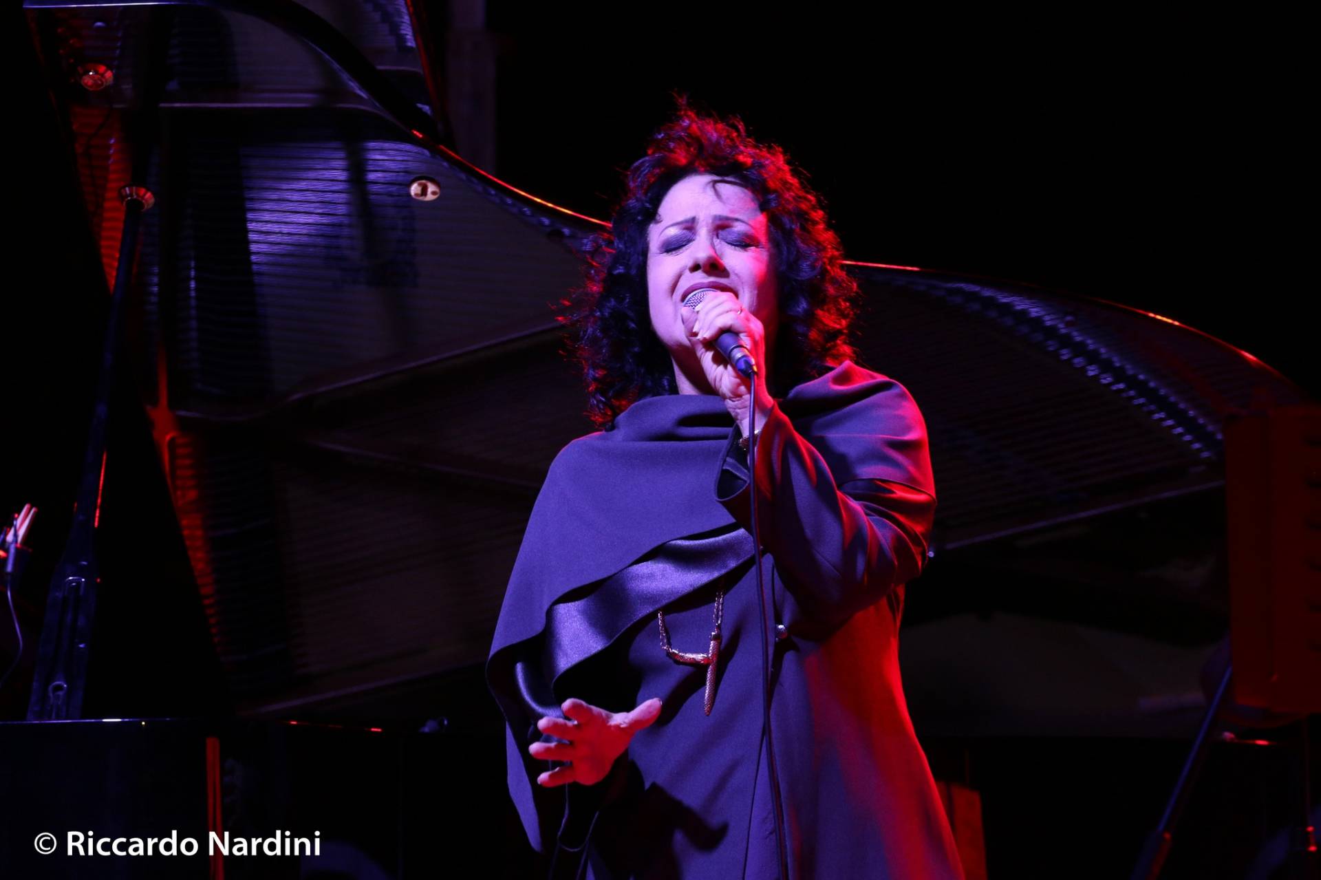 Sui sentieri dell'Armonia