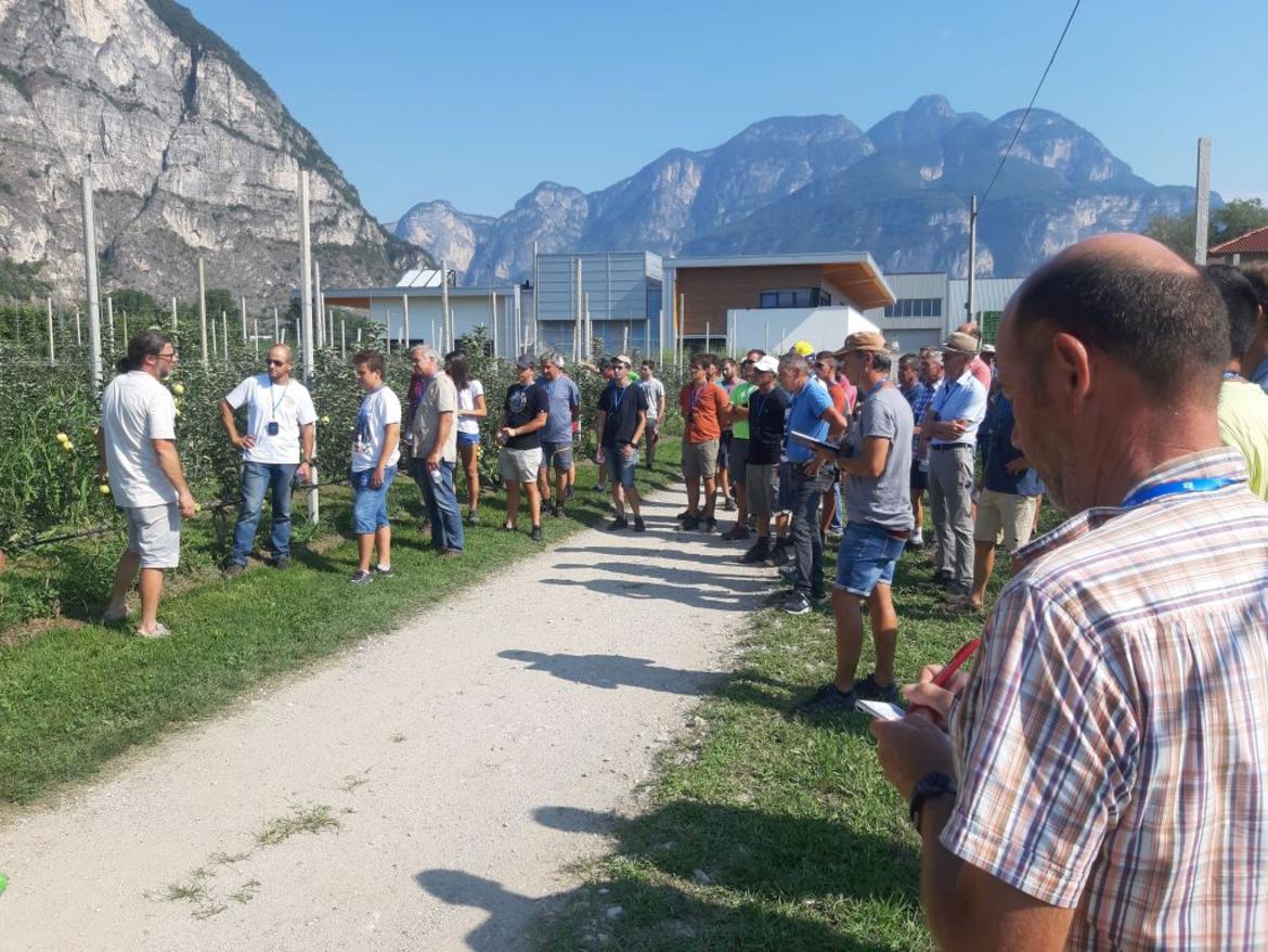 Meleto a guyot, cresce l'interesse