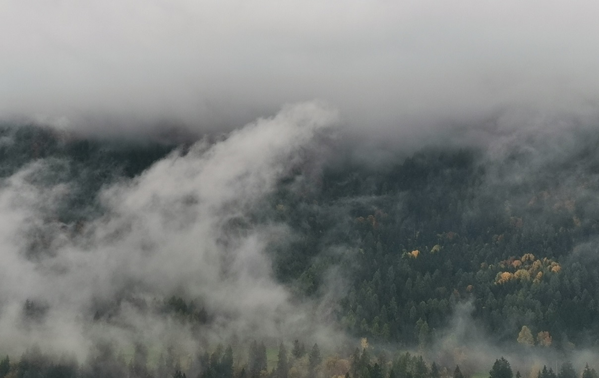 Piogge in esaurimento, domenica soleggiata