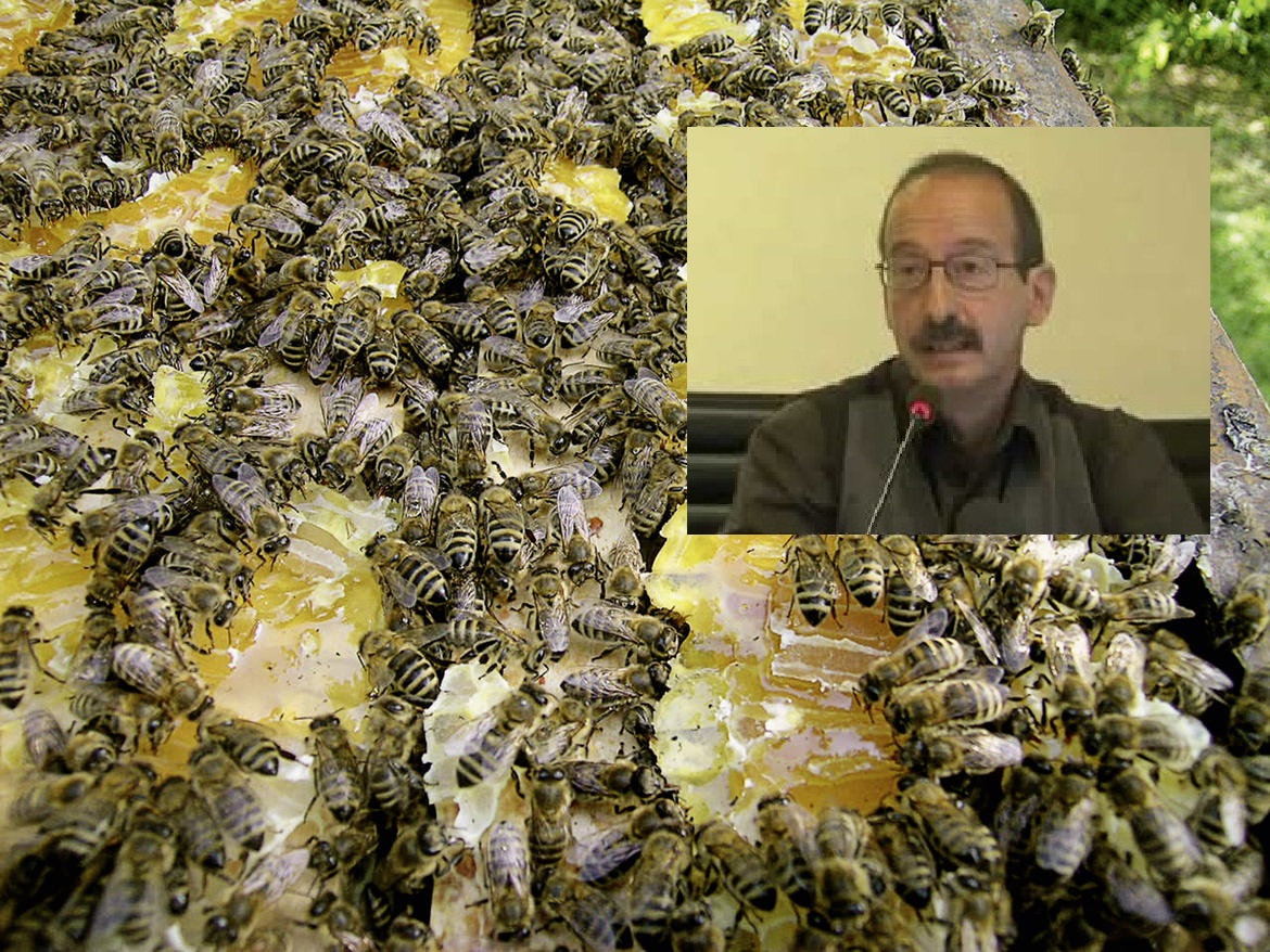 Protocollo provinciale per le api: c'&egrave; chi dice no