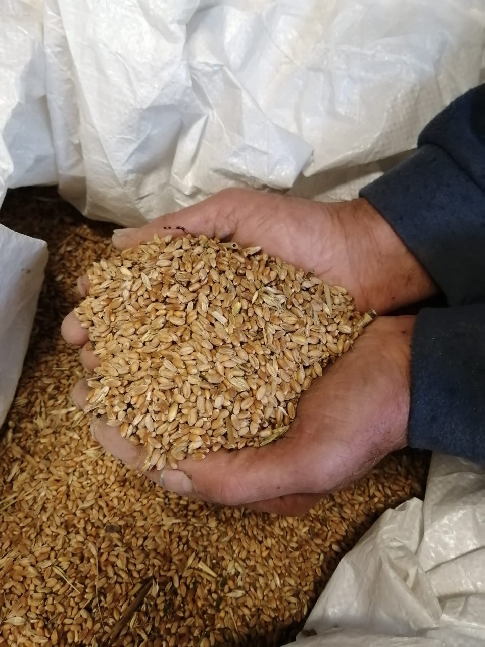 In un mese di guerra prezzi alle stelle