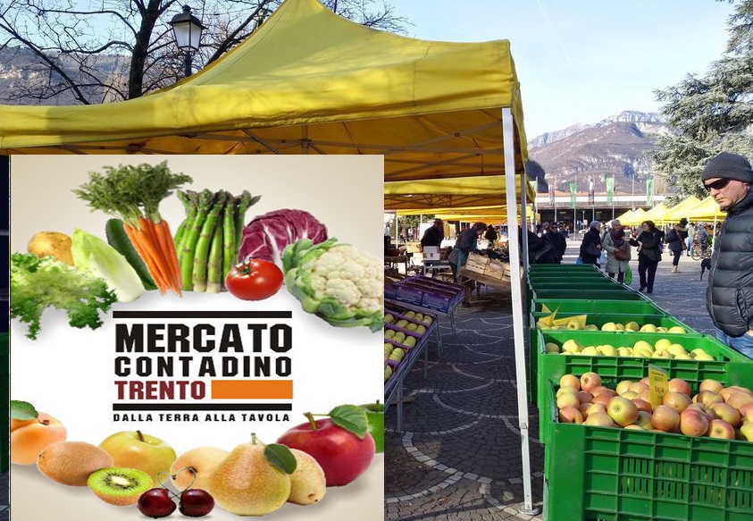 La guerra in Ucraina: un grave danno per l'agroalimentare italiano