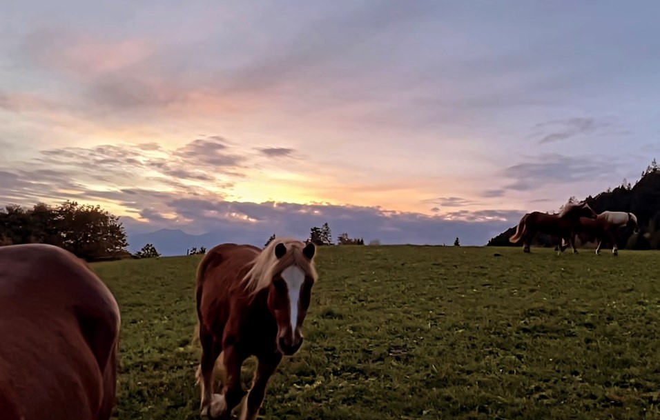 La natura, che meraviglia!