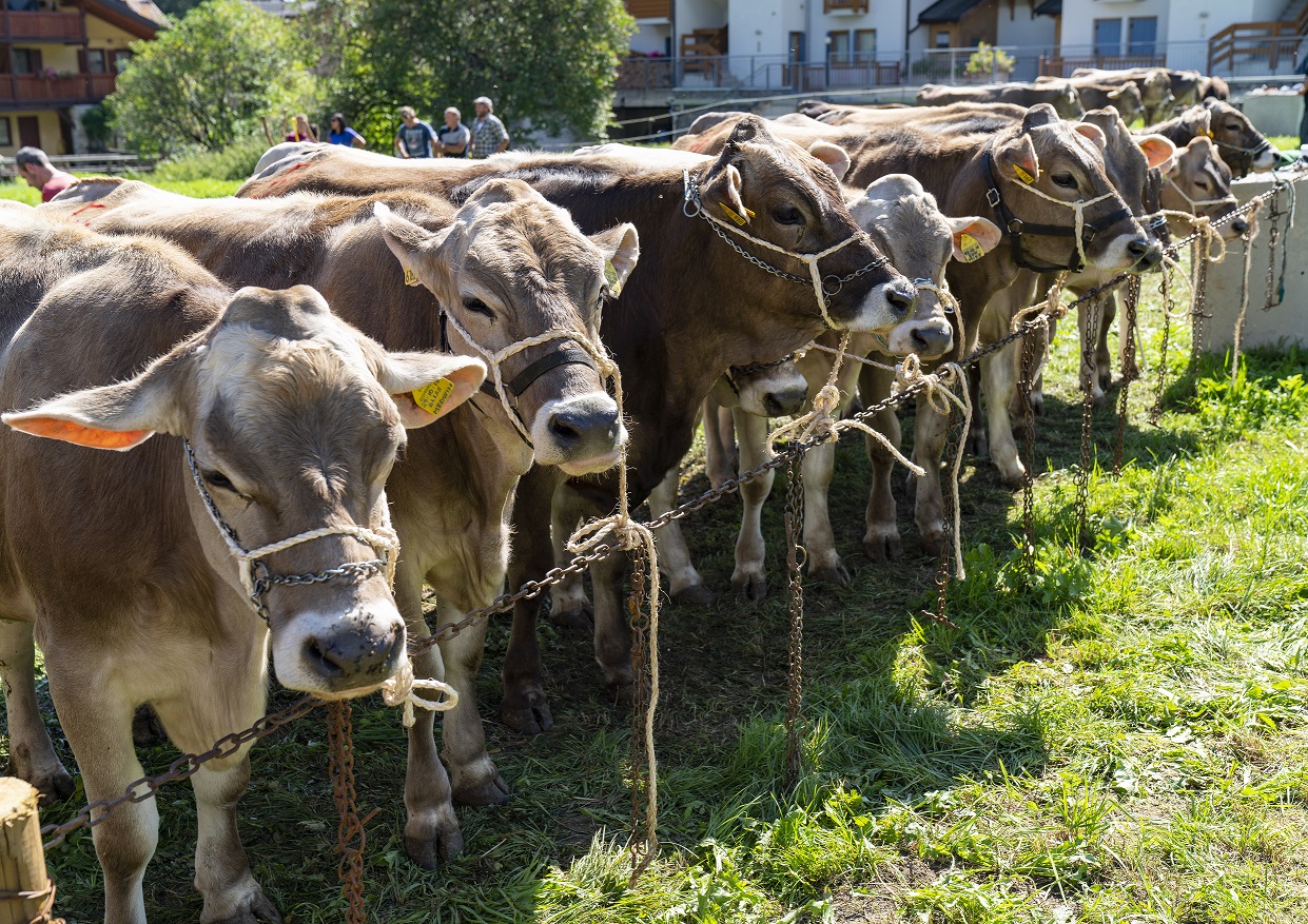 Strutture agrituristiche, nel 2021 un milione di arrivi in meno