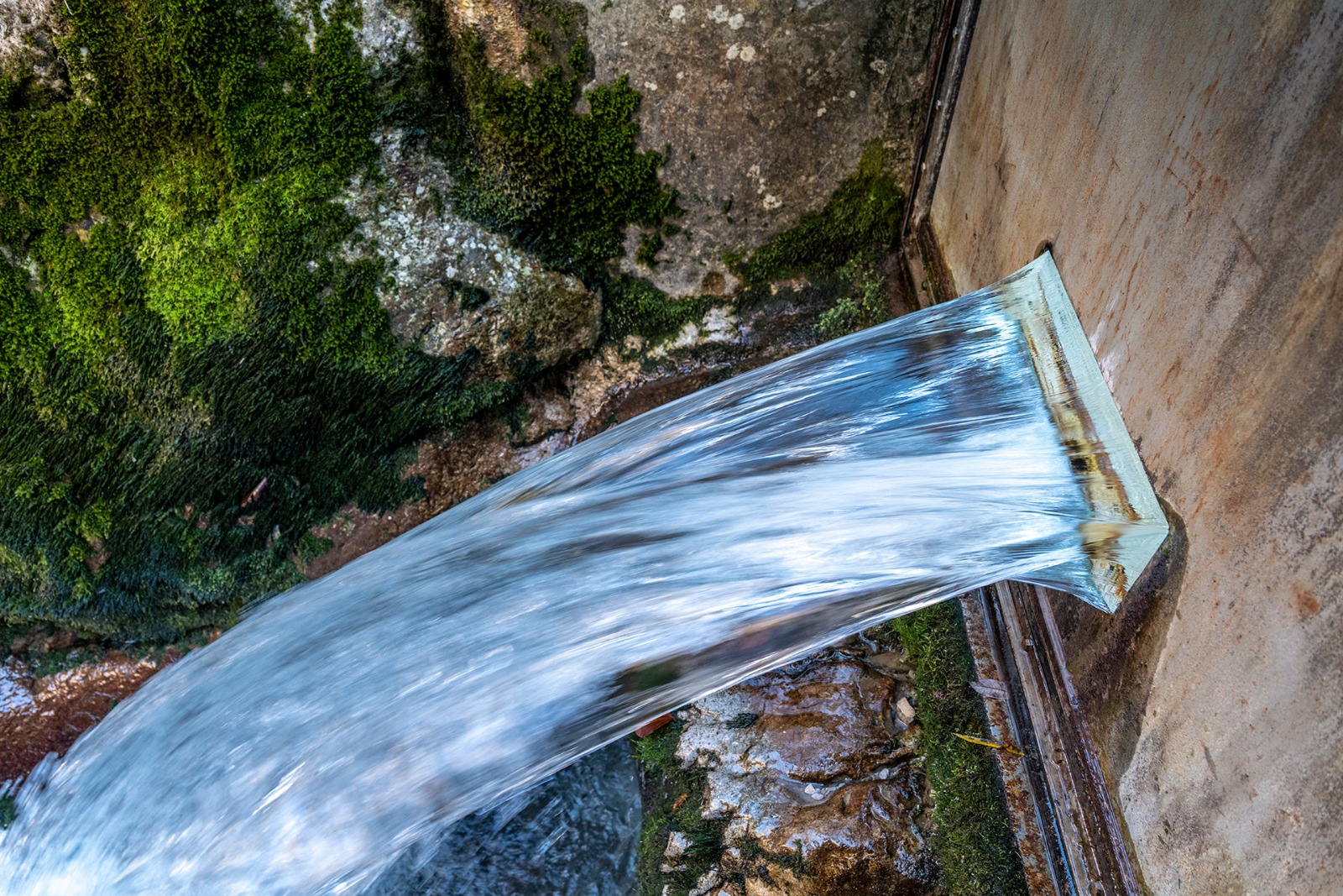 Giovani protagonisti del cambiamento