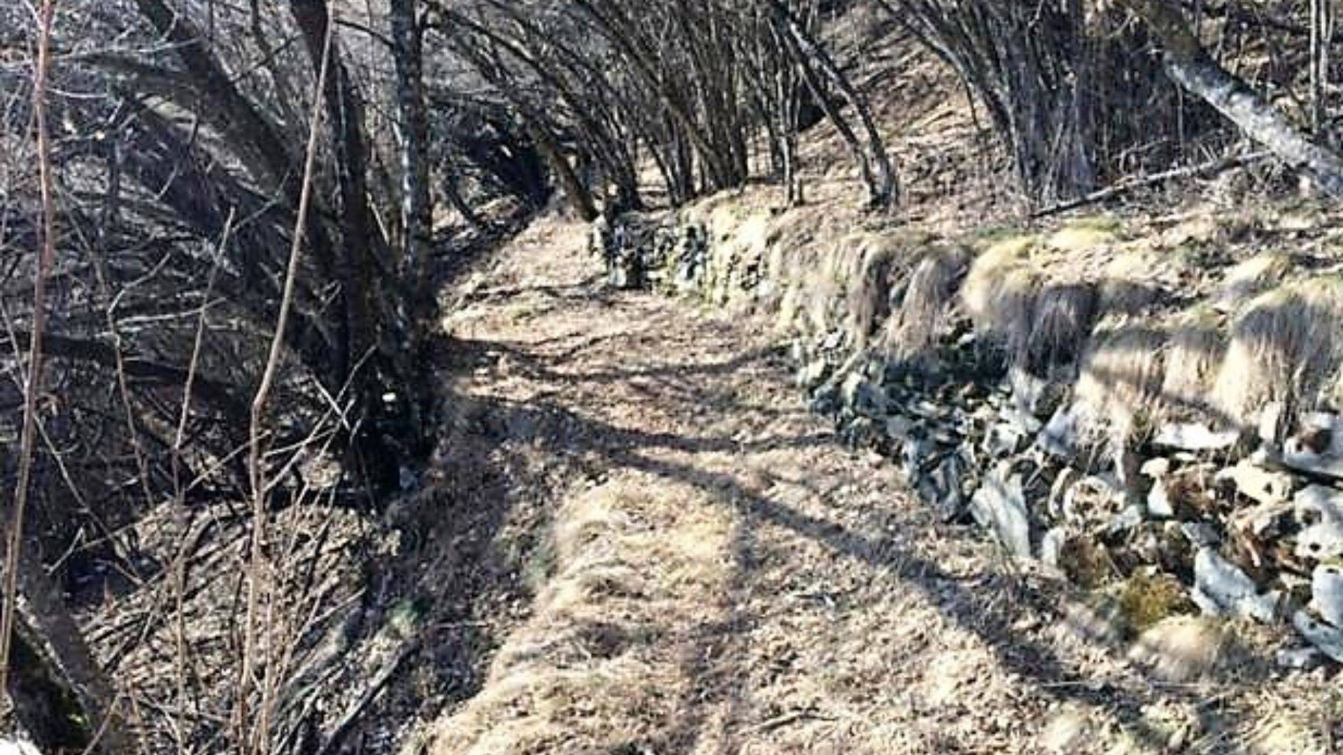 Via libera al recupero dei prati aridi di Arnago