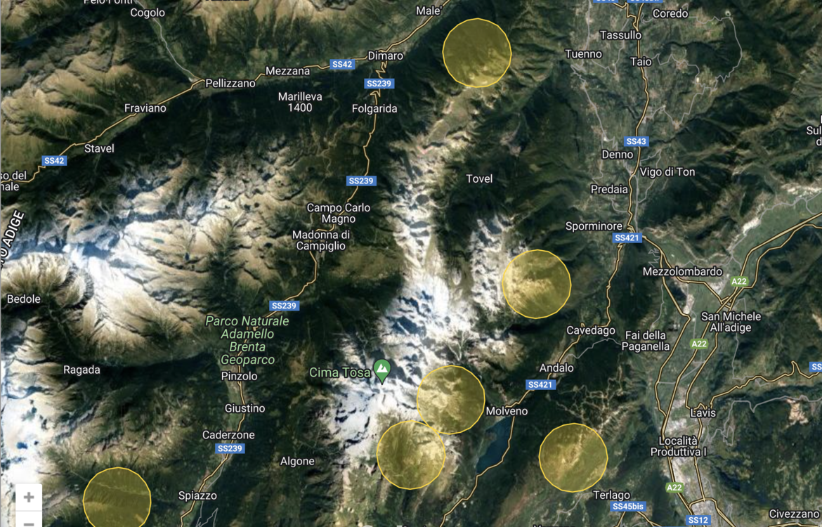 Orso, sei nuove cucciolate sui monti del Trentino