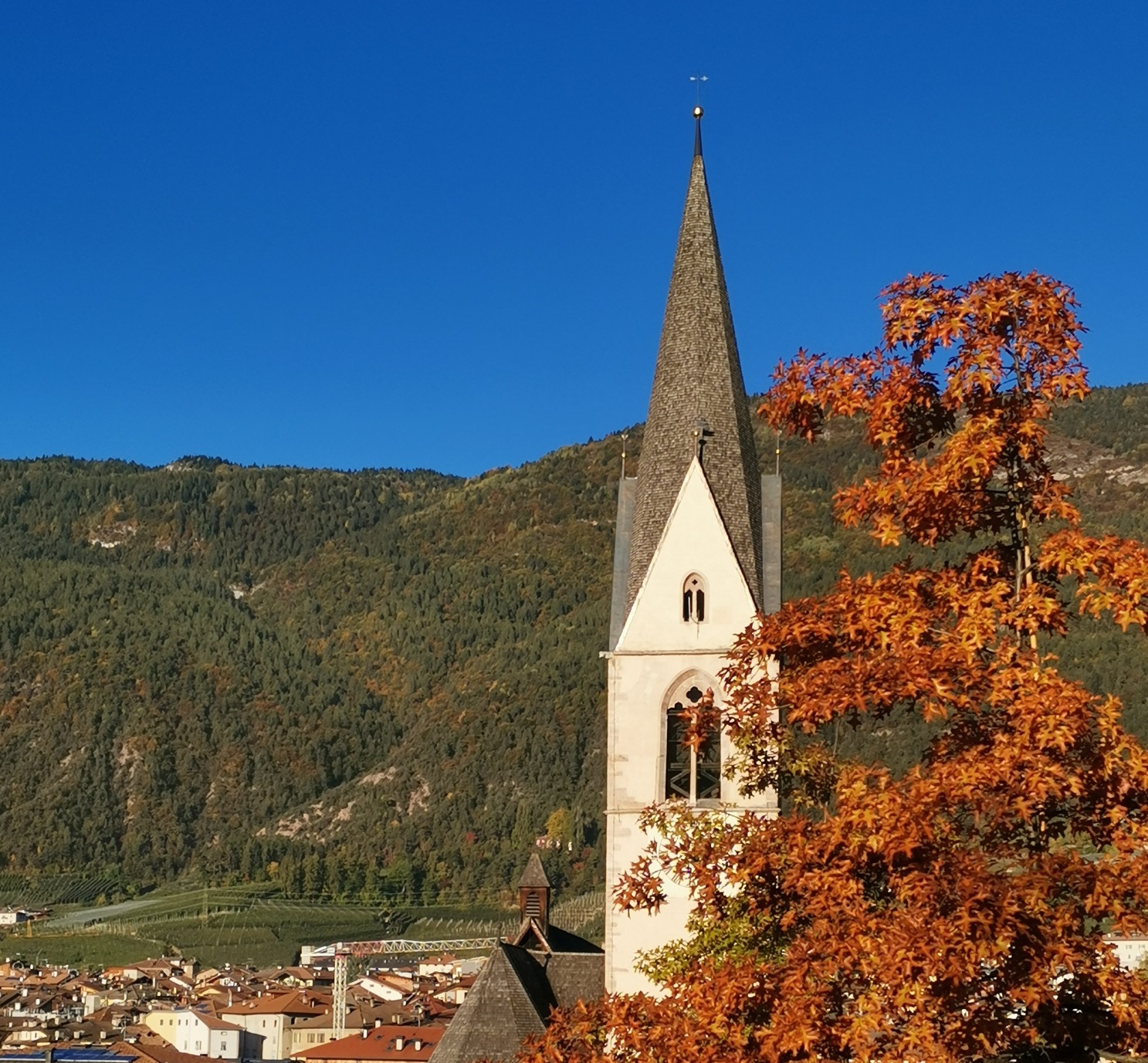 Cles cerca volontari per il Progetto Mentoring