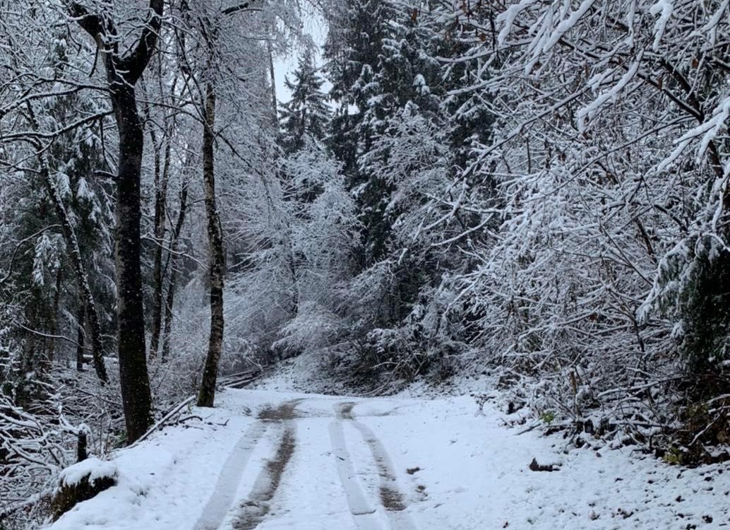 Da oggi temperature in calo e poi torna la neve