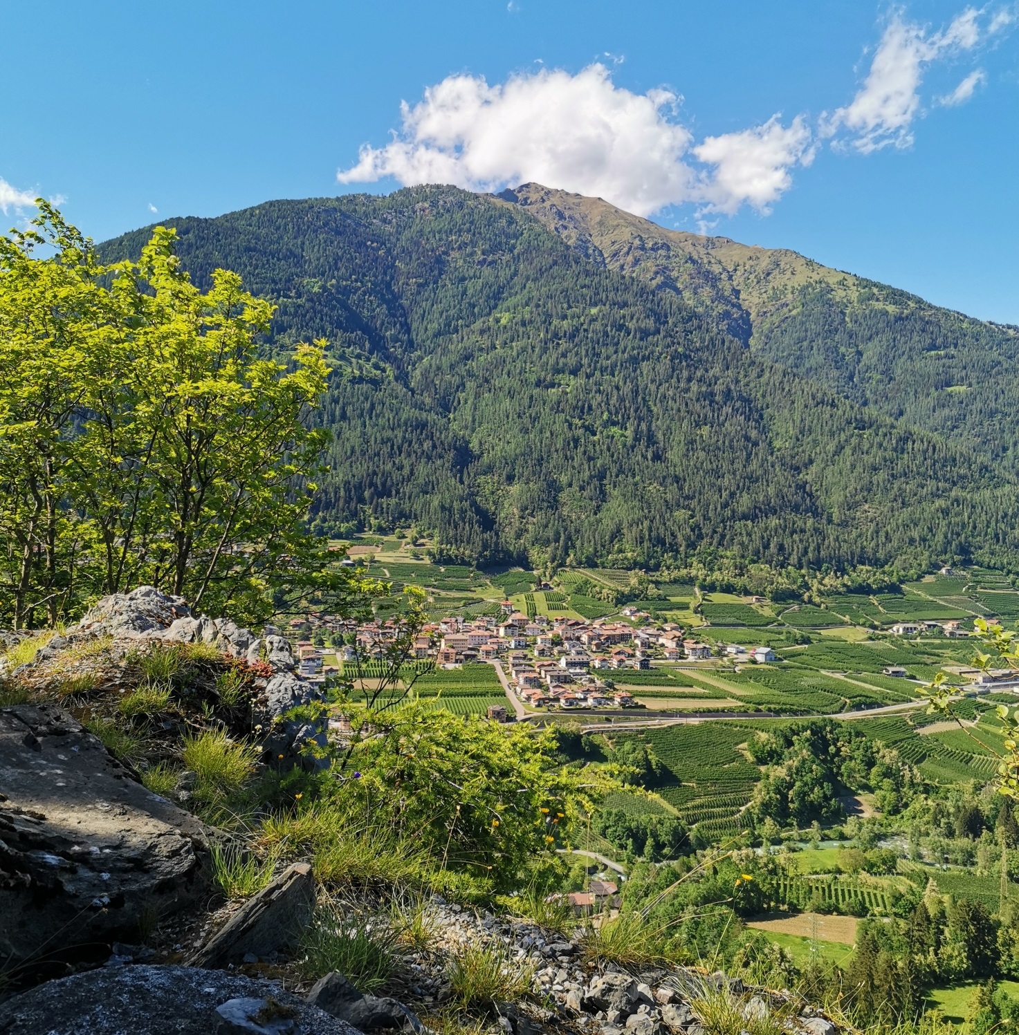In cammino per riflettere sulla Giornata Mondiale dei Poveri